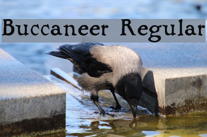 Buccaneer Regular Font examples