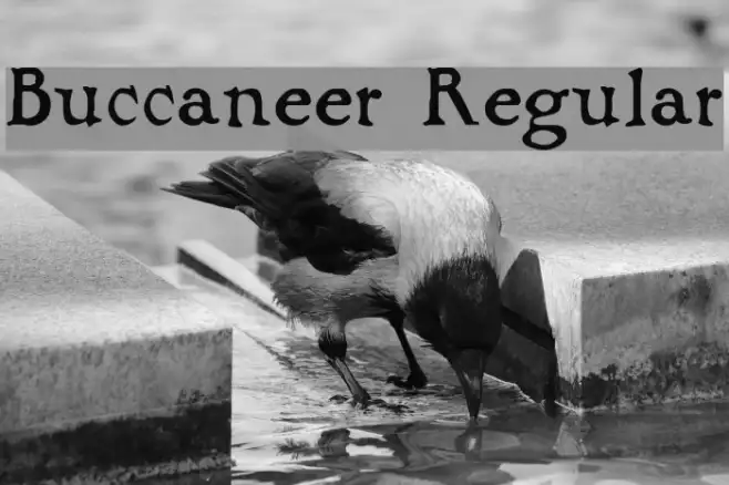 Buccaneer Regular Example 2