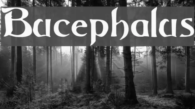 Bucephalus Шрифта examples