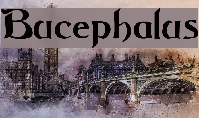 Bucephalus Font examples