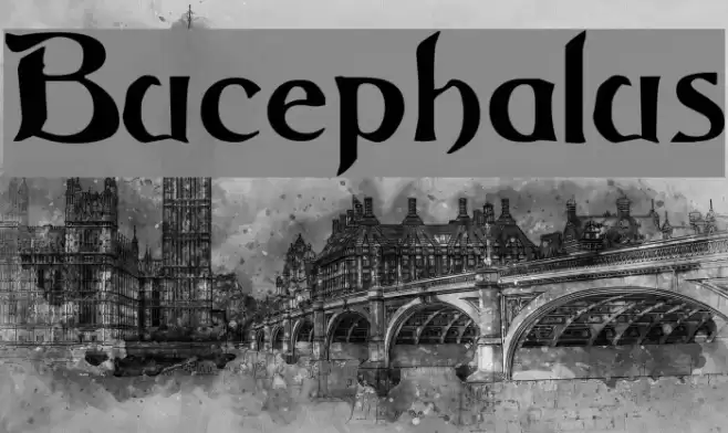 Bucephalus Шрифта examples