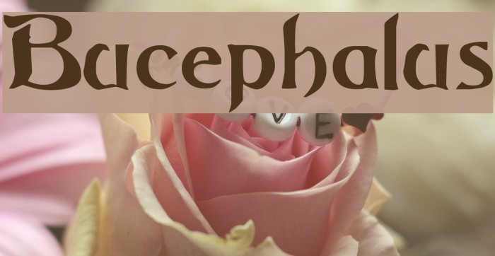 Bucephalus Font examples