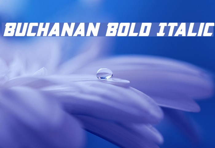 Buchanan Bold Italic Font examples