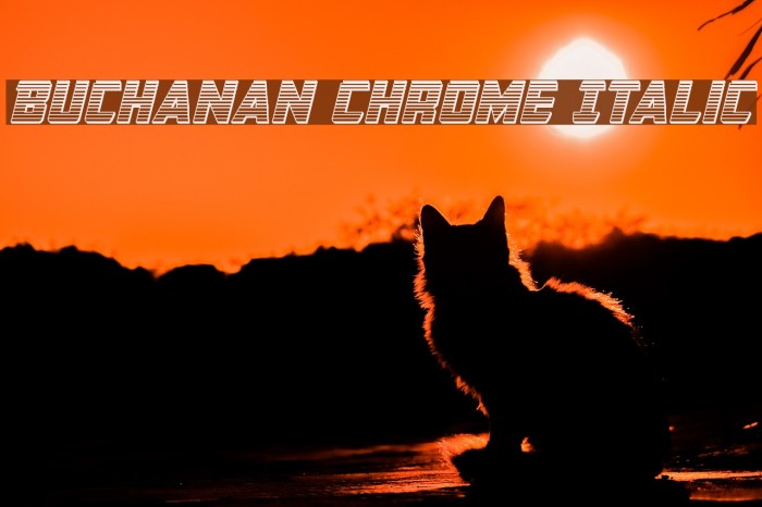 Buchanan Chrome Italic Font examples