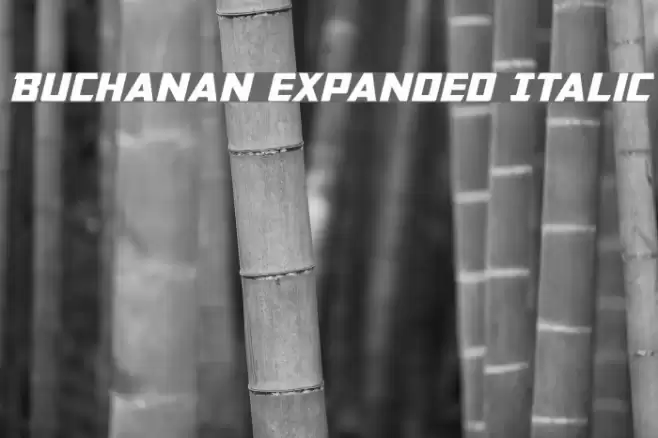 Buchanan Expanded Italic Font examples