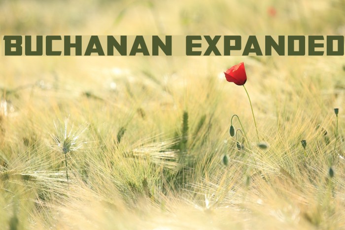 Buchanan Expanded Example 1