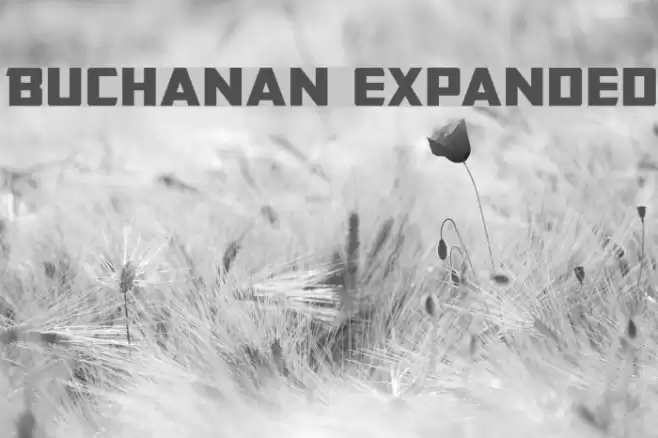 Buchanan Expanded Font examples