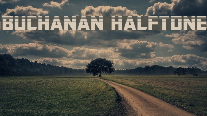 Buchanan Halftone Font examples