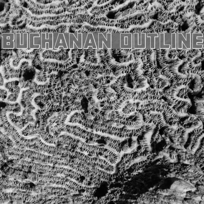 Buchanan Outline Example 3