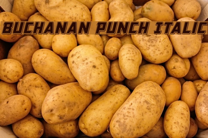 Buchanan Punch Italic Font examples