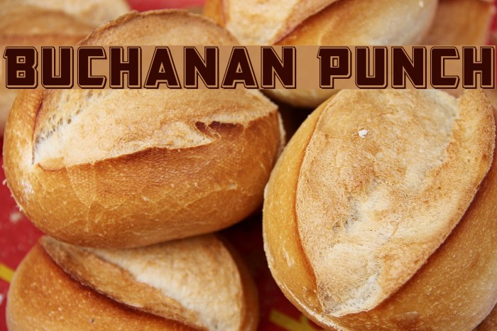 Buchanan Punch Font examples