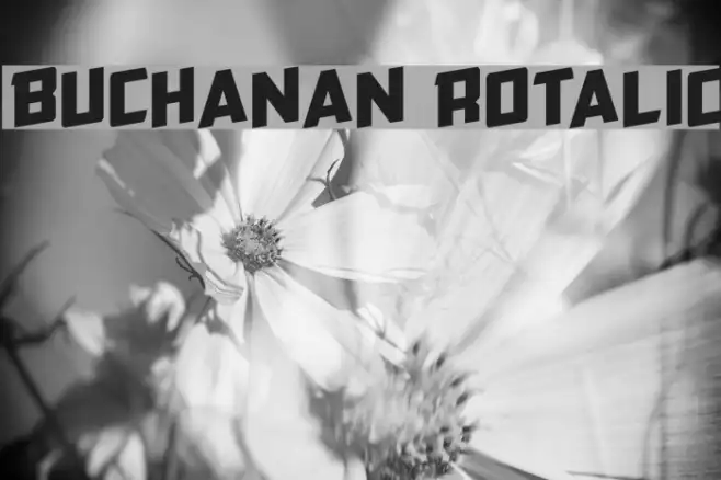 Buchanan Rotalic Example 1