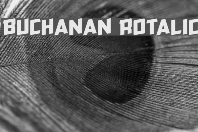Buchanan Rotalic Example 2
