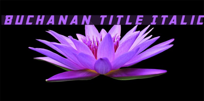 Buchanan Title Italic Font examples