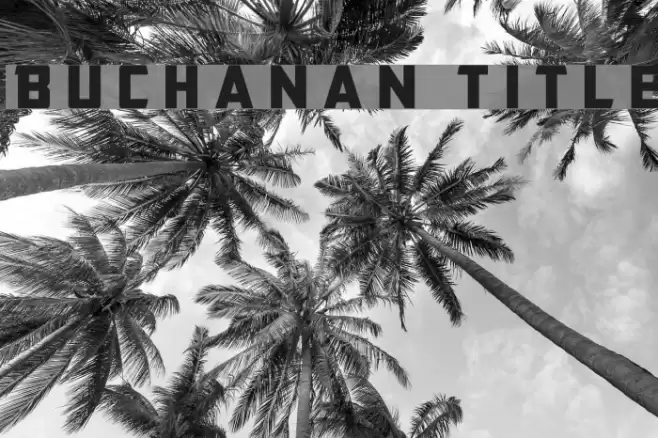 Buchanan Title Font examples