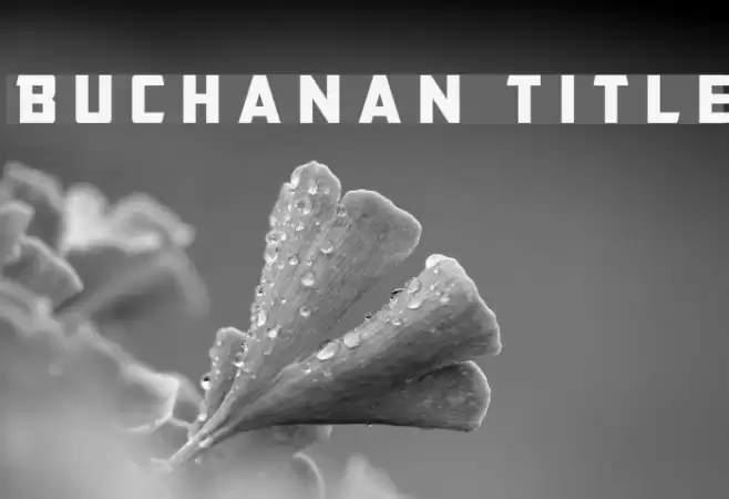 Buchanan Title Font examples
