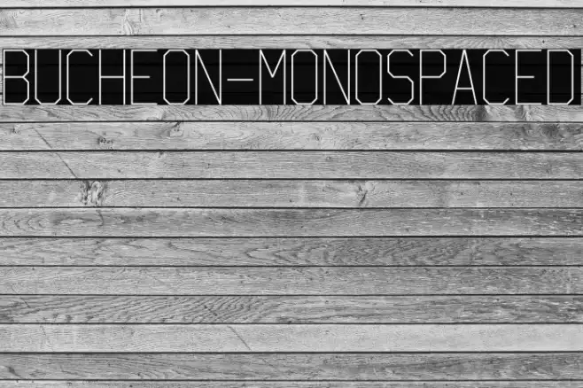 Bucheon-Monospaced Example 1