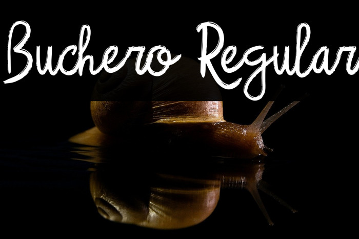 Buchero Regular Example 1