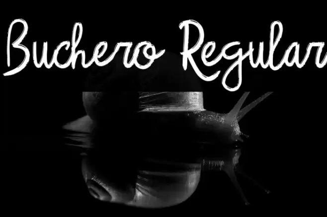 Buchero Regular Font examples
