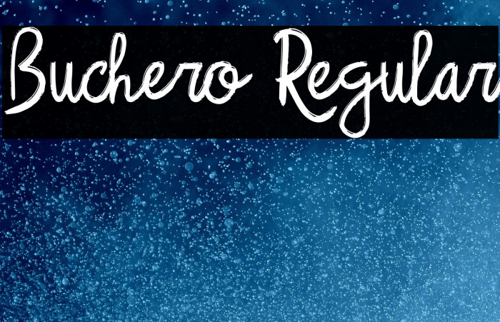 Buchero Regular Example 2