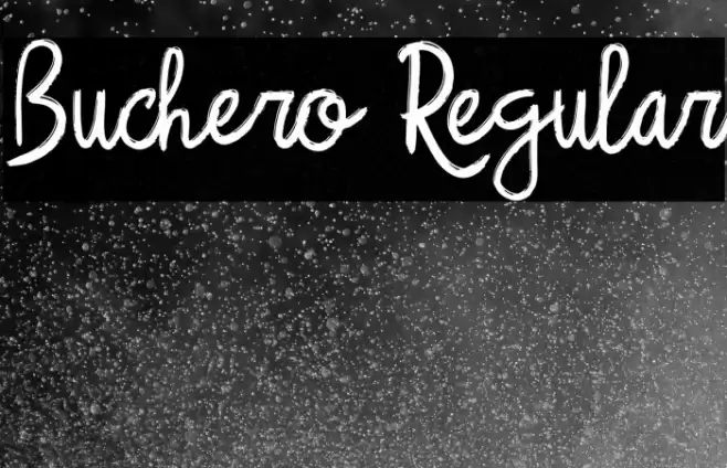 Buchero Regular Font examples