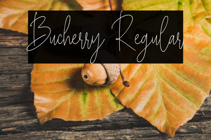 Bucherry Regular Example 2