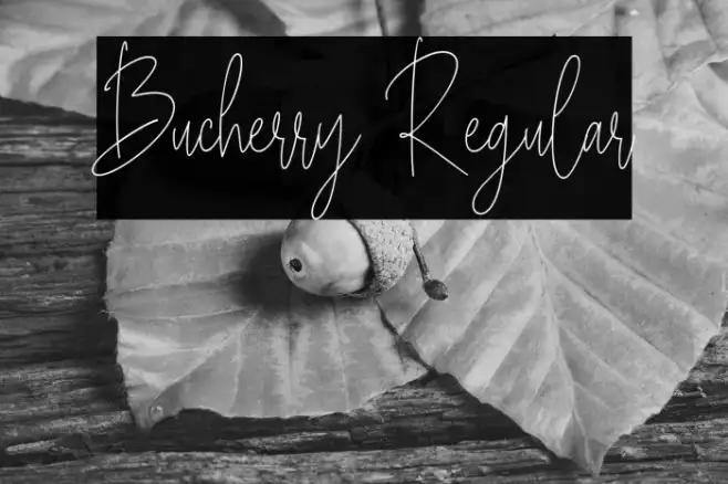 Bucherry Regular Example 2