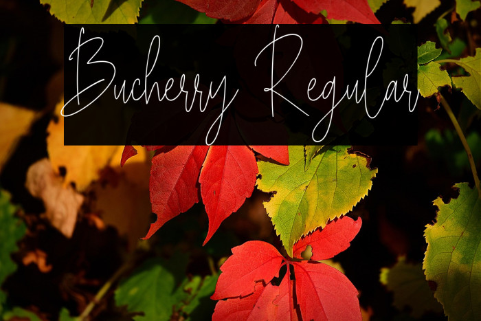 Bucherry Regular Example 3