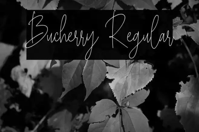 Bucherry Regular Example 3