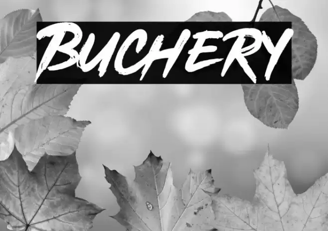 Buchery Font examples