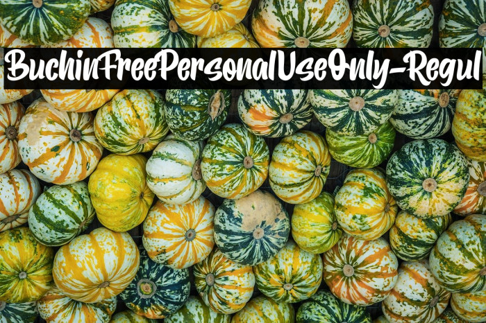 BuchinFreePersonalUseOnly-Regul Example 1