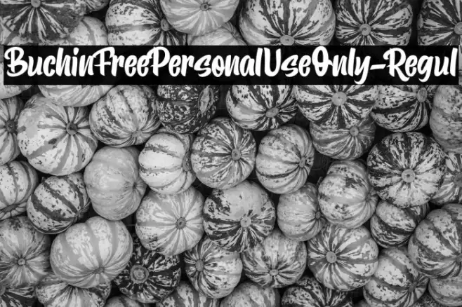 BuchinFreePersonalUseOnly-Regul Example 1