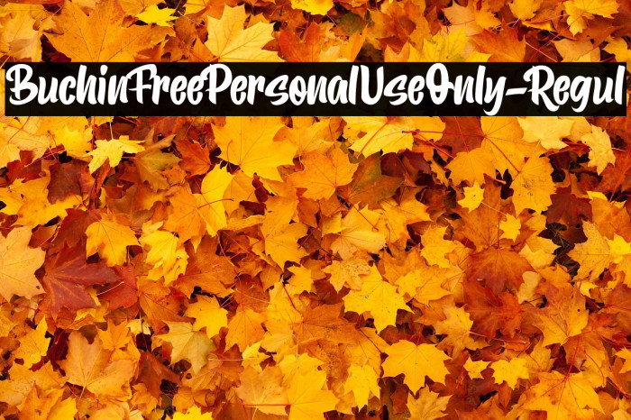 BuchinFreePersonalUseOnly-Regul Example 2