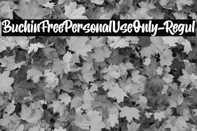 BuchinFreePersonalUseOnly-Regul Example 2