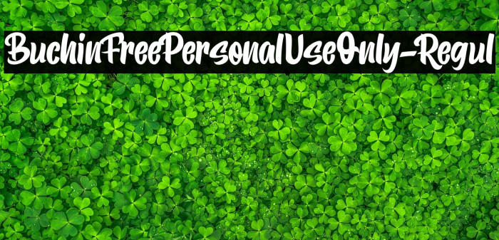 BuchinFreePersonalUseOnly-Regul Example 3