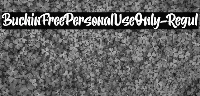 BuchinFreePersonalUseOnly-Regul Example 3