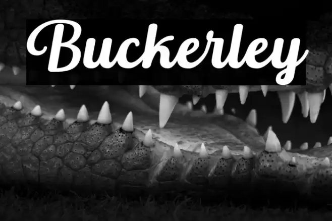 Buckerley Font examples