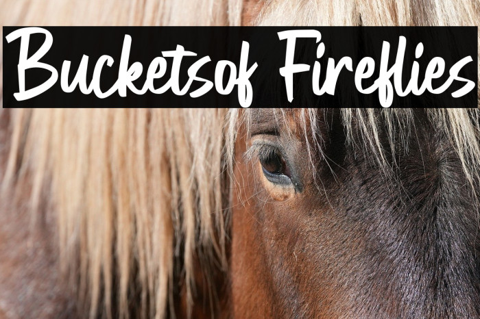 Bucketsof Fireflies Example 1