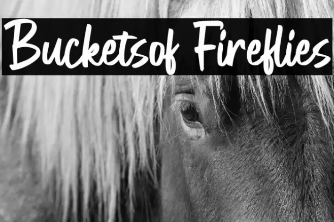Bucketsof Fireflies Font examples