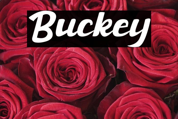 Buckey Example 3