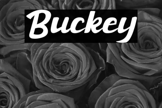 Buckey Example 3