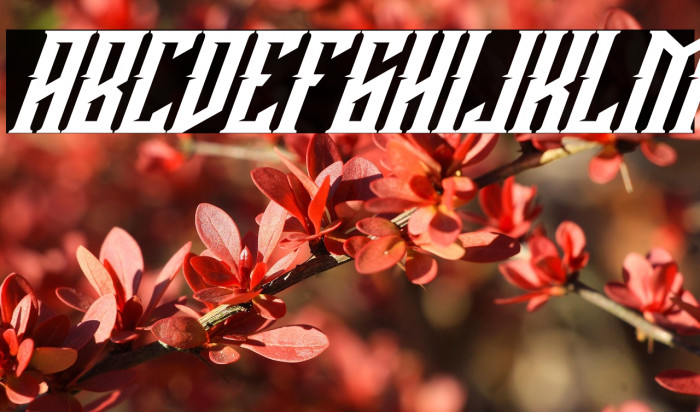 Buckingham Italic Example 1