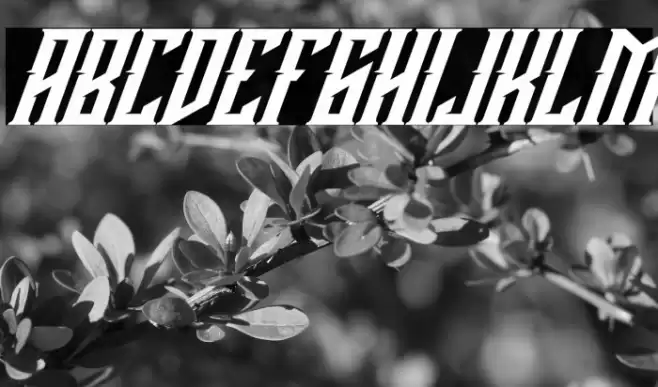 Buckingham Italic Font examples