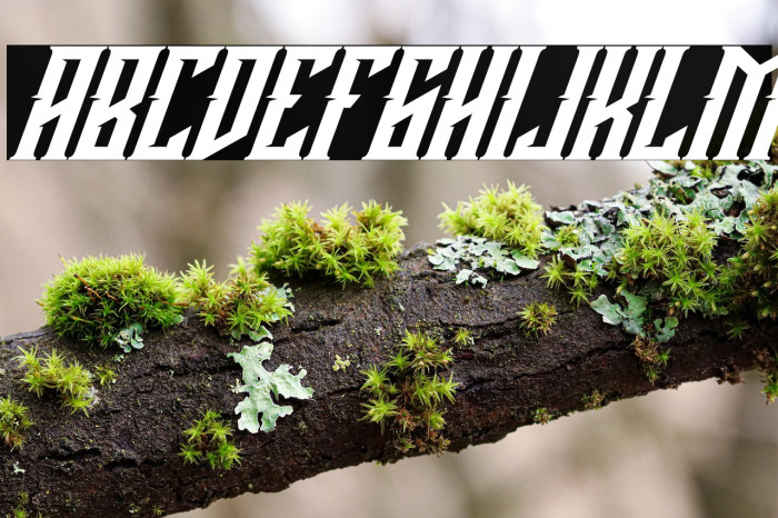 Buckingham Italic Example 3