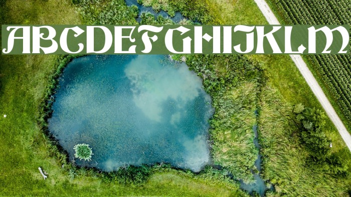 Buckingham Regular Font examples
