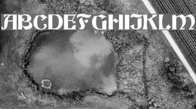 Buckingham Regular Font examples