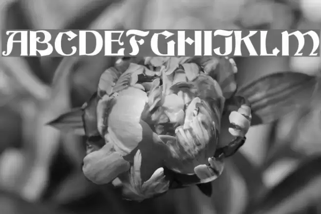 Buckingham Regular Font examples