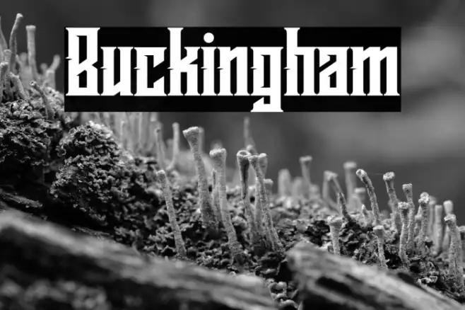 Buckingham Example 1