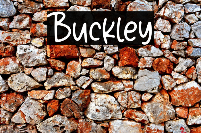 Buckley Example 2