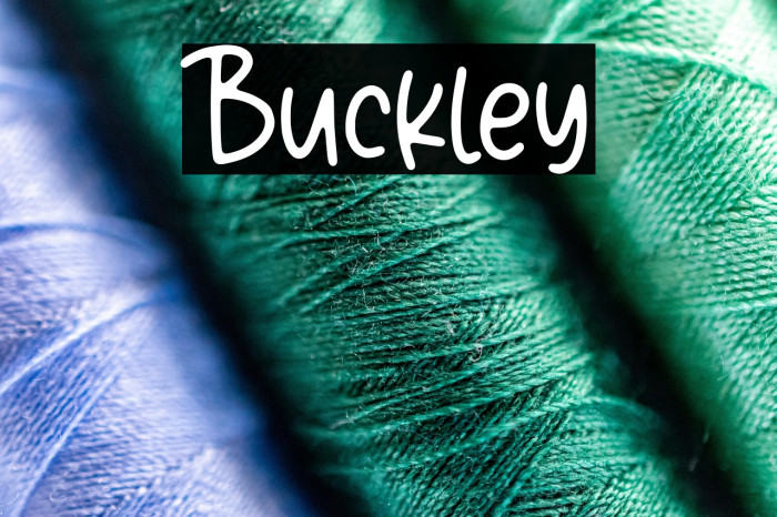 Buckley Example 3